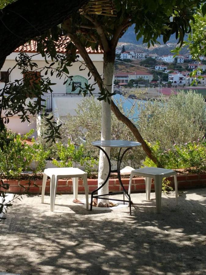 Вилла Olive Trees Порос Экстерьер фото
